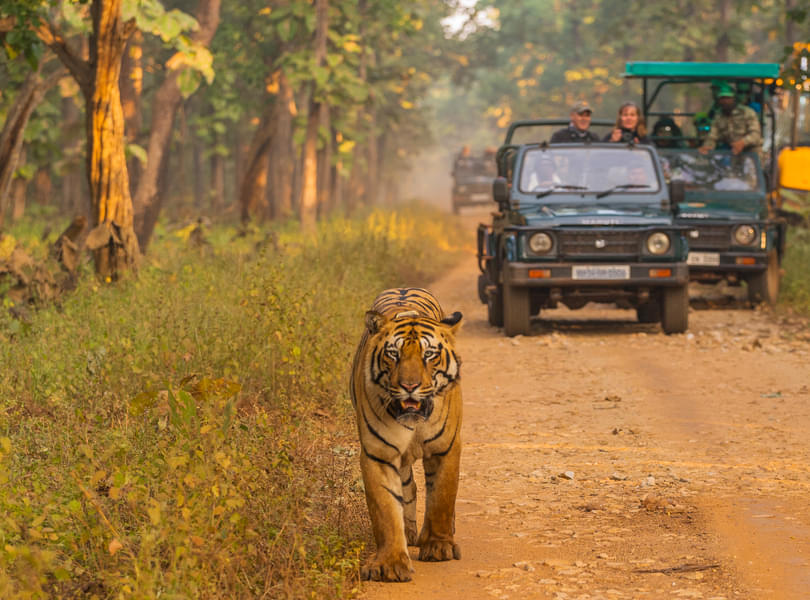 Haridwar Mussoorie Nainital Corbett | FREE Tiger Safari Image