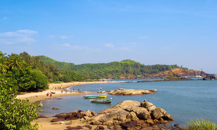 Gokarna Nightlife Tours: Explore Nightlife in Gokarna