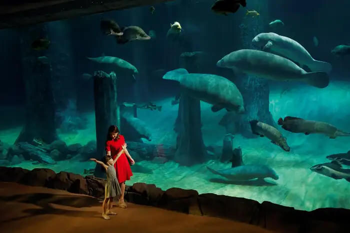 Best Time to Visit River Wonders Singapore