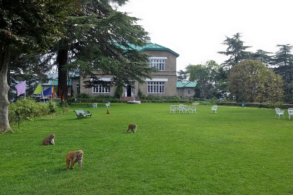 Palace Hotel