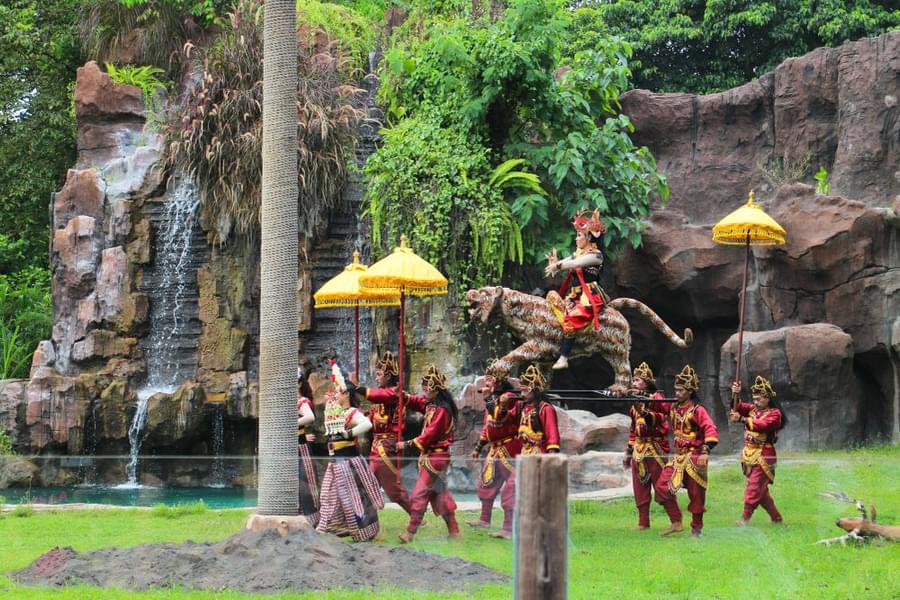 Activities in Bali Safari and Marine Park