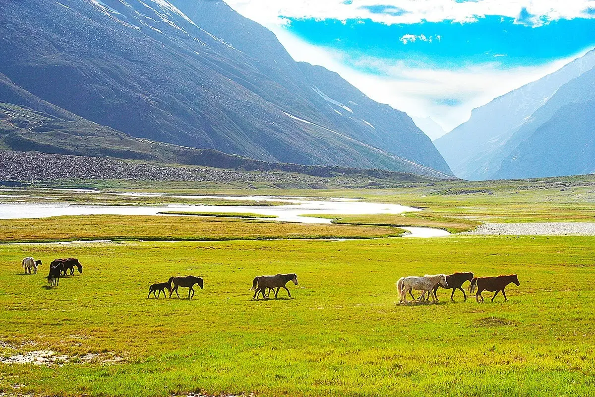 Suru Valley