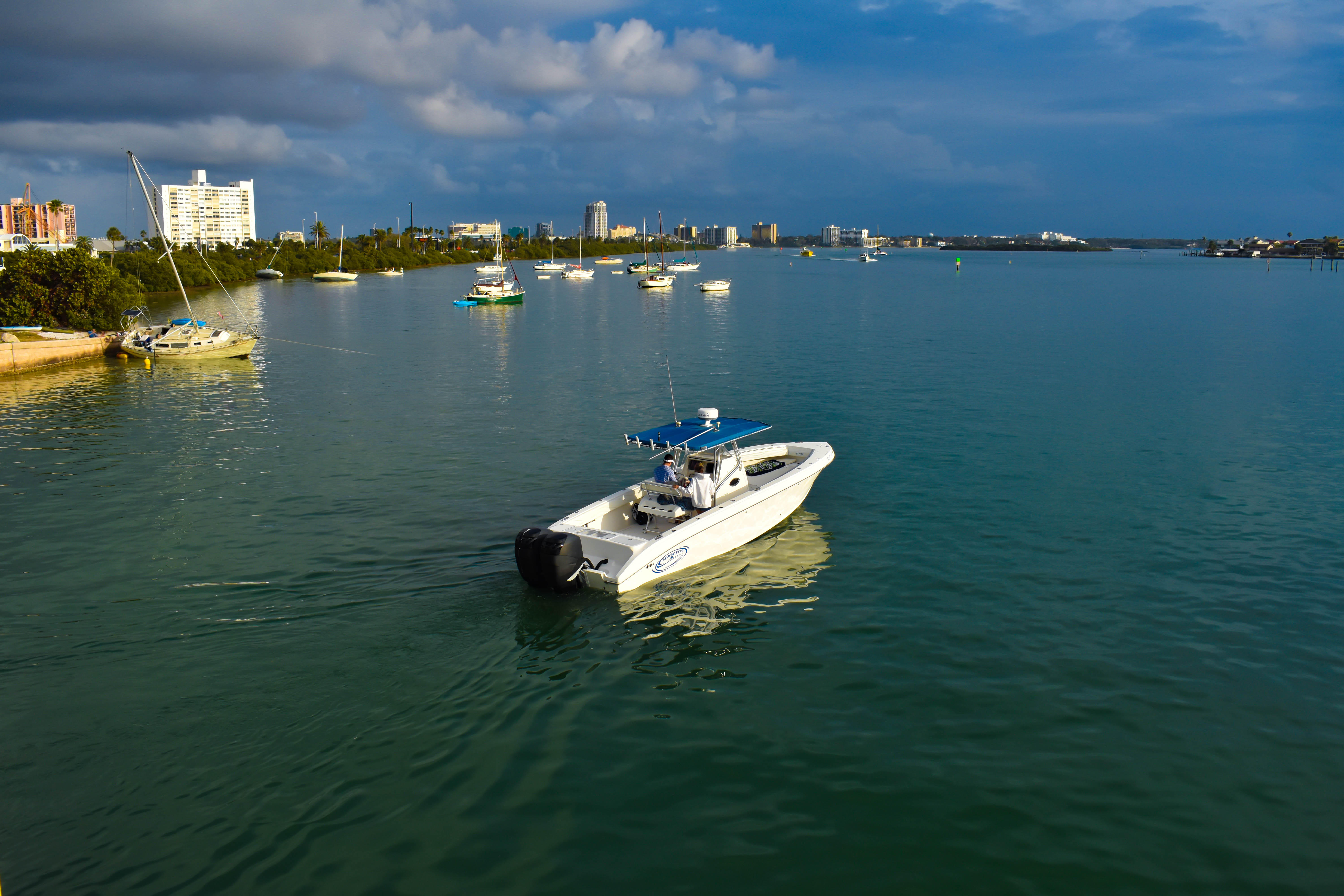 Embark on Orlando Dolphin Boat Tour