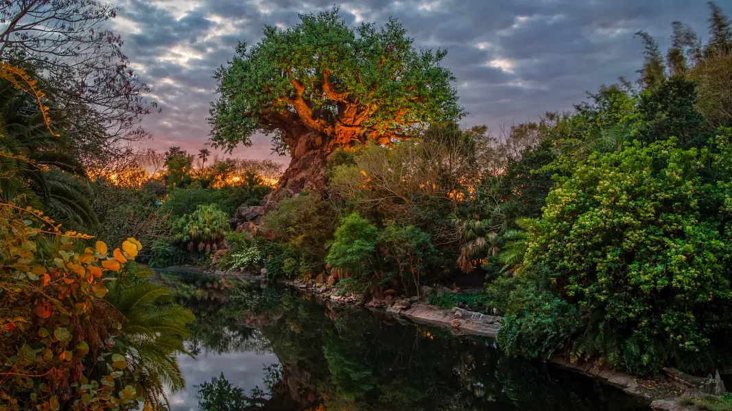 Disney's Animal Kingdom Tickets Image