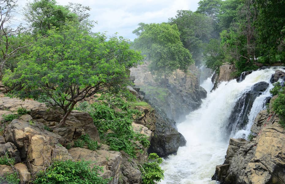 Hogenakkal Falls Trip With Coracle Ride Image