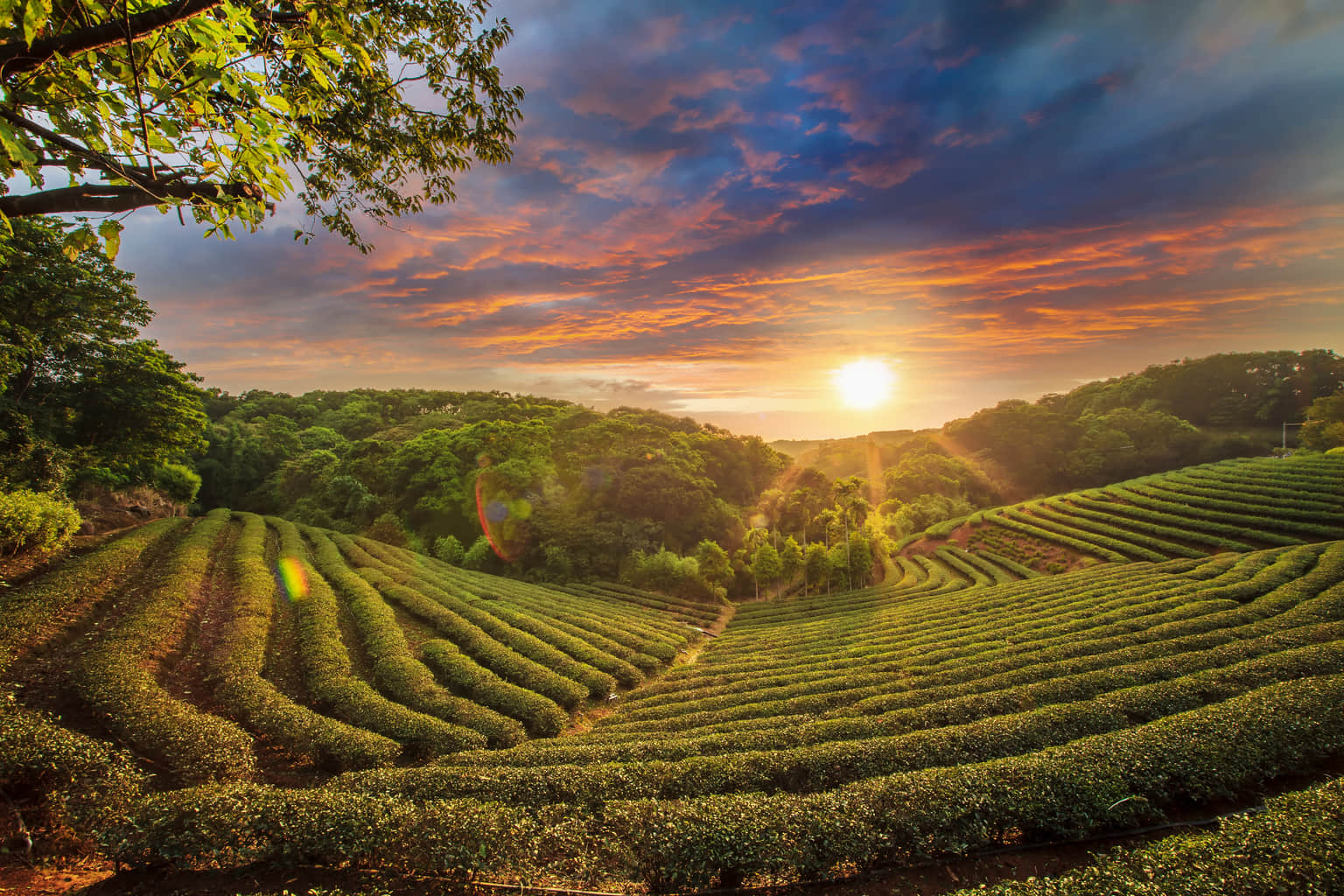 Things to do in <em>Asia</em>