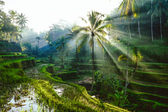 Bali and Cambodia Tour Package
