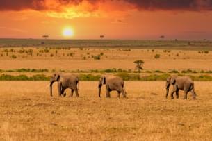 Sunset in Maasai Mara, Kenya