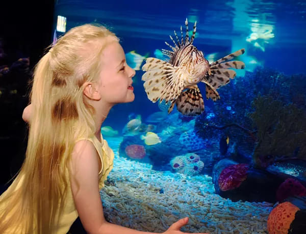 Jenkinson's Aquarium