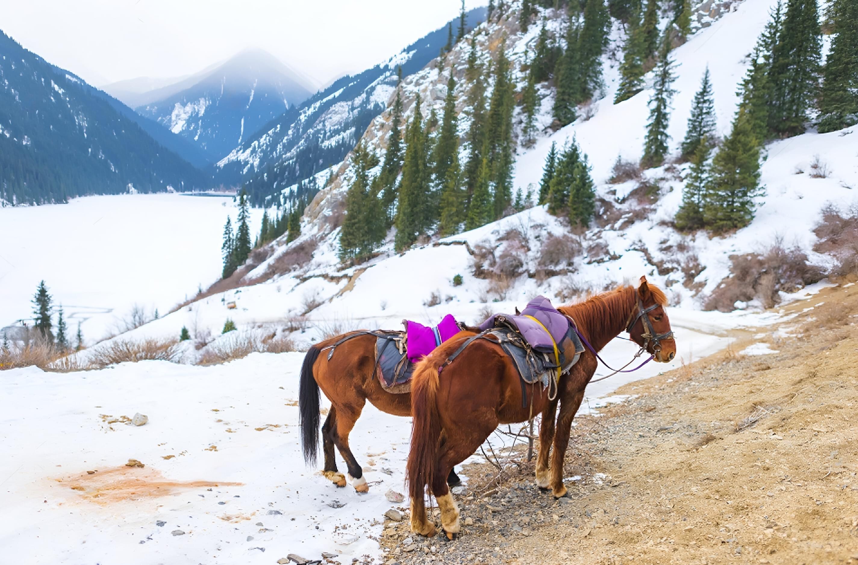 Go for Hiking and Horseback Riding Trails