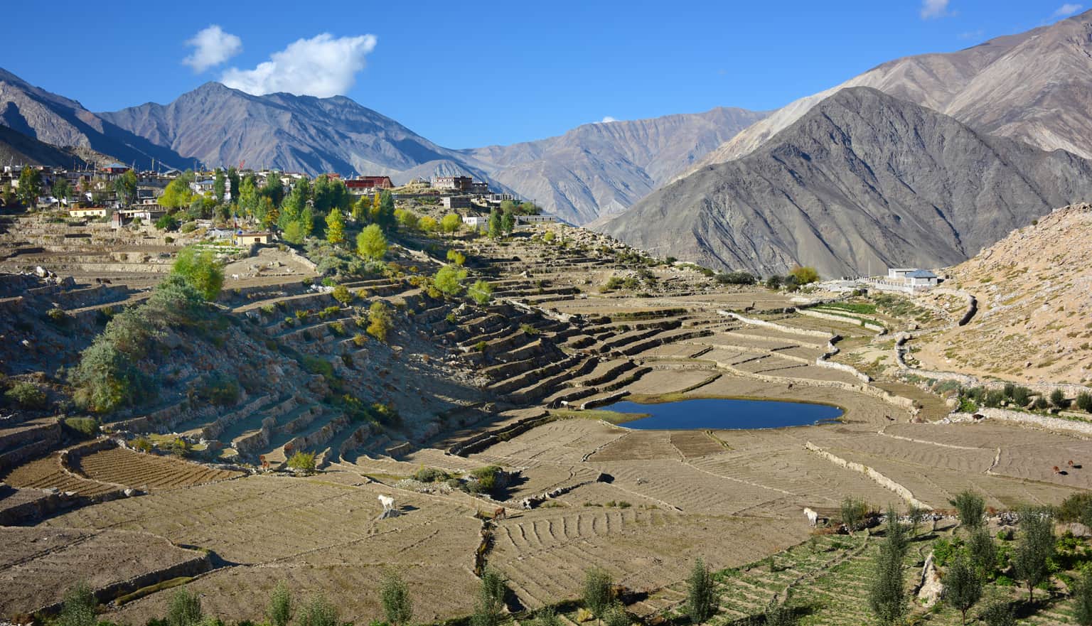 Visit the Kibber Monastery