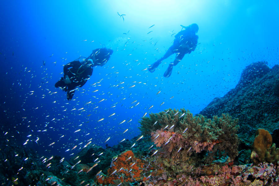 Scuba Diving in Galle Image