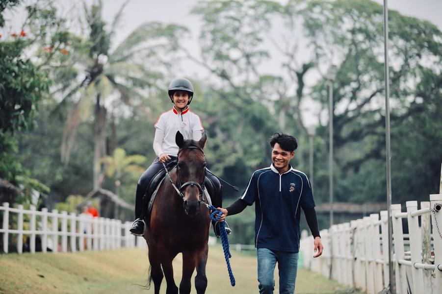 Horse Riding in Singapore Image