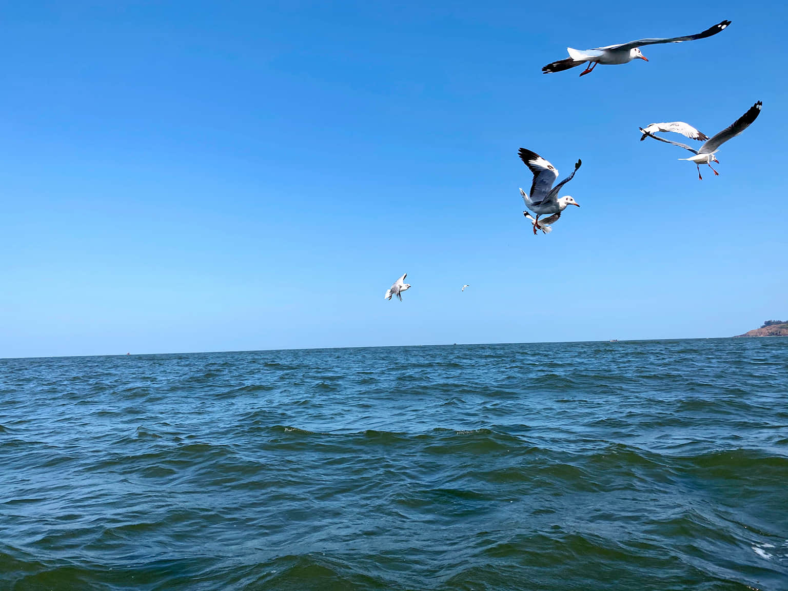 Photo from Lipika Das's trip