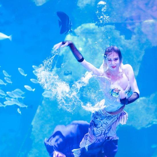Underwater Restaurant at Aquaria Phuket