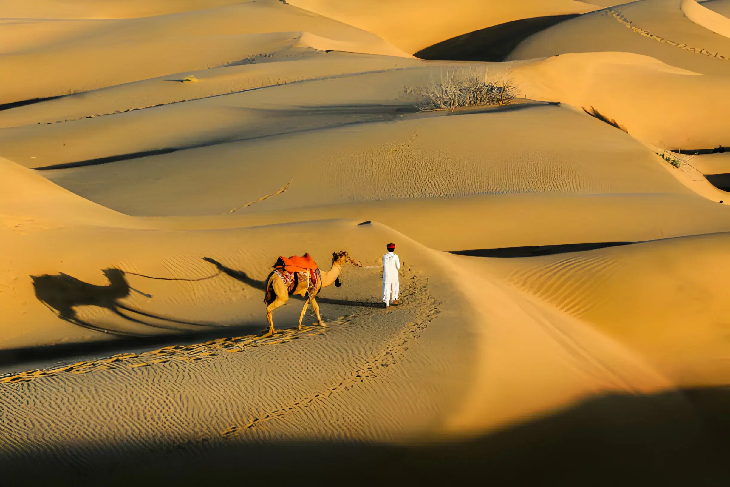 Great Indian Desert