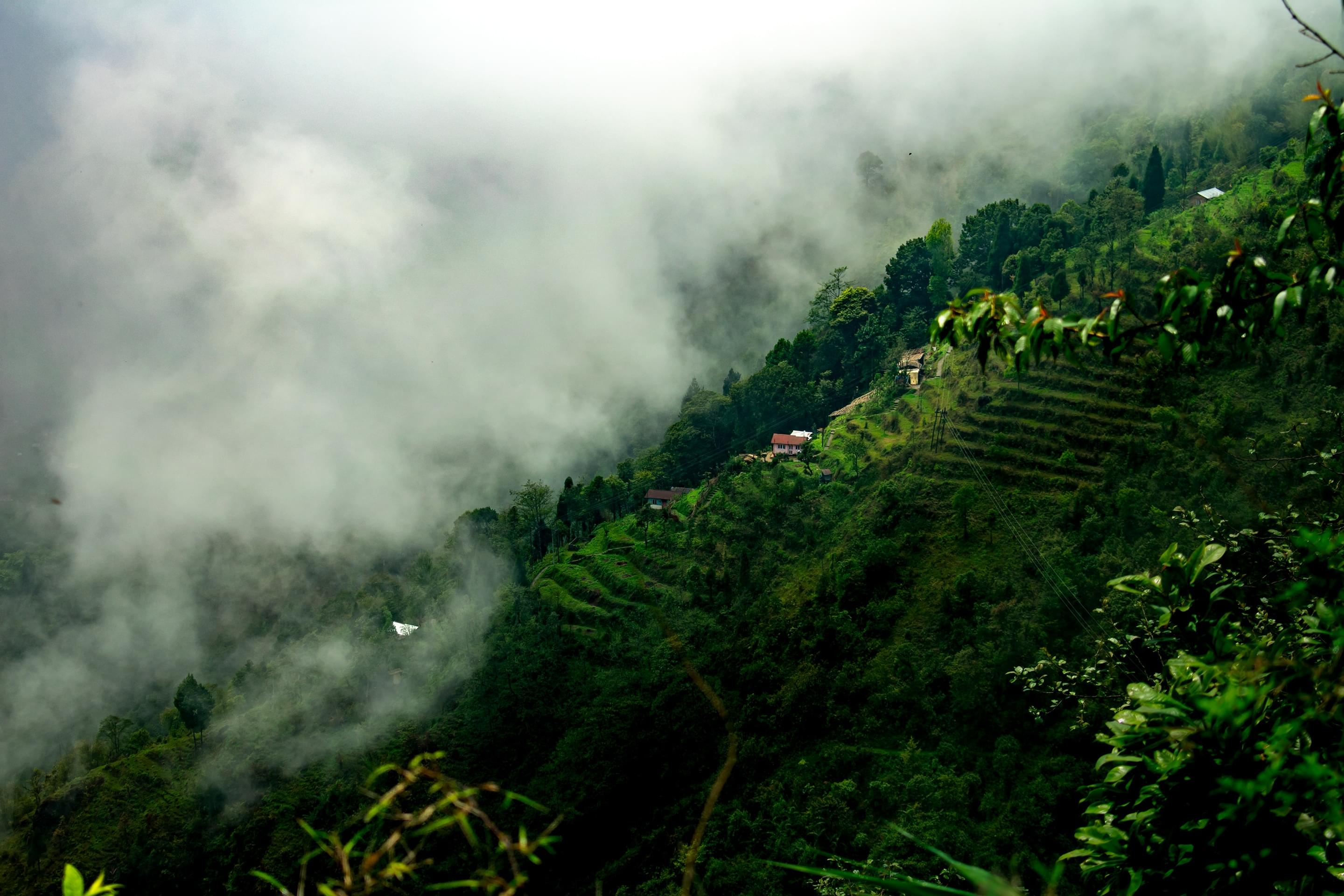 Best Places To Stay in Darjeeling