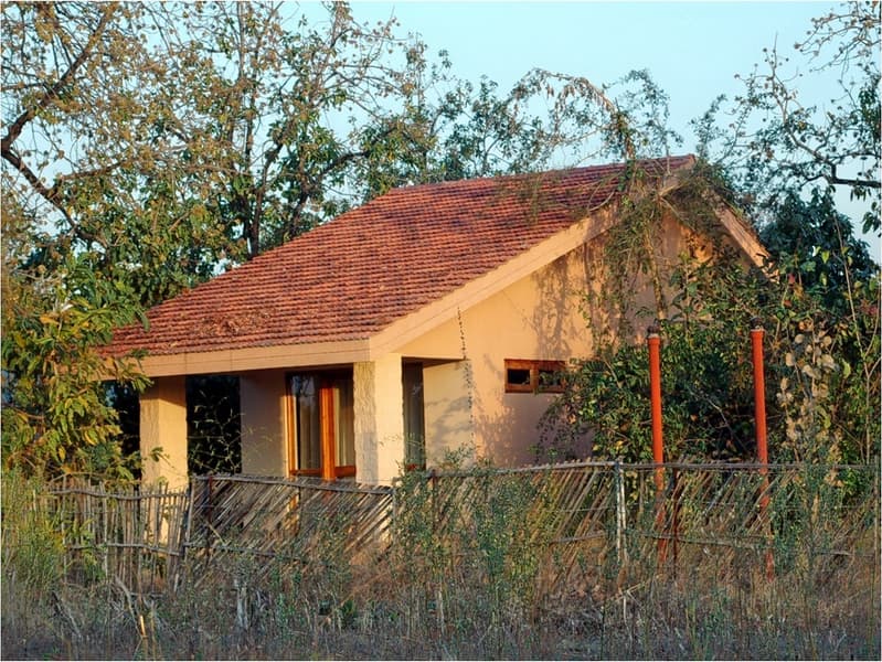 Pench National Park Jungle Safari Image