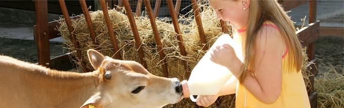 Farm in Temaiken Biopark