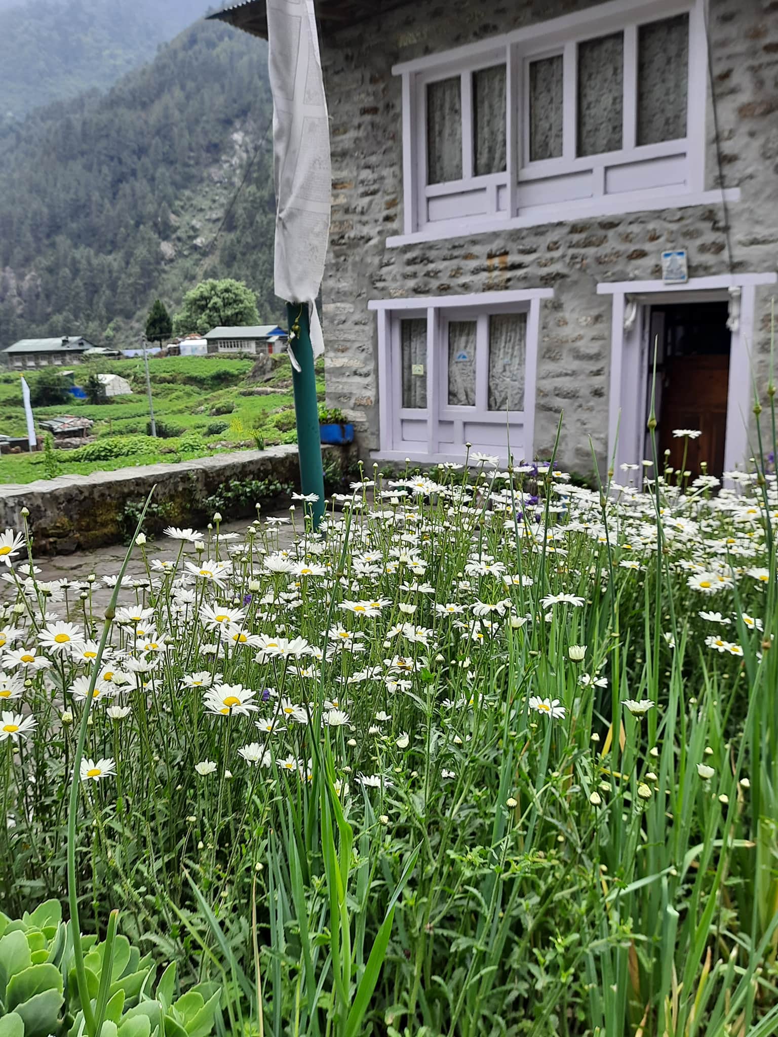 Photo from ANUJ NARULA's trip