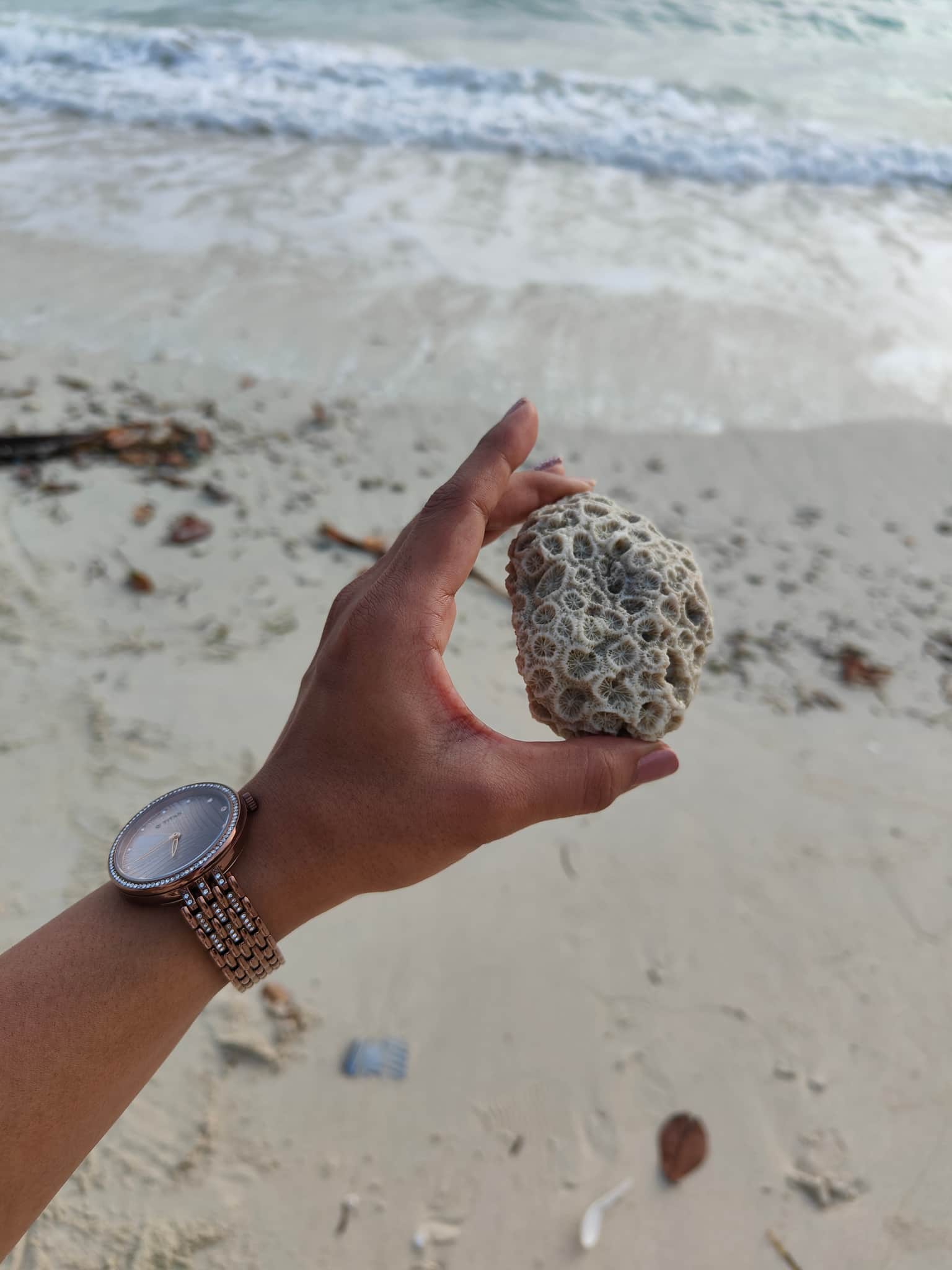 Photo from Shubham Tidke's trip