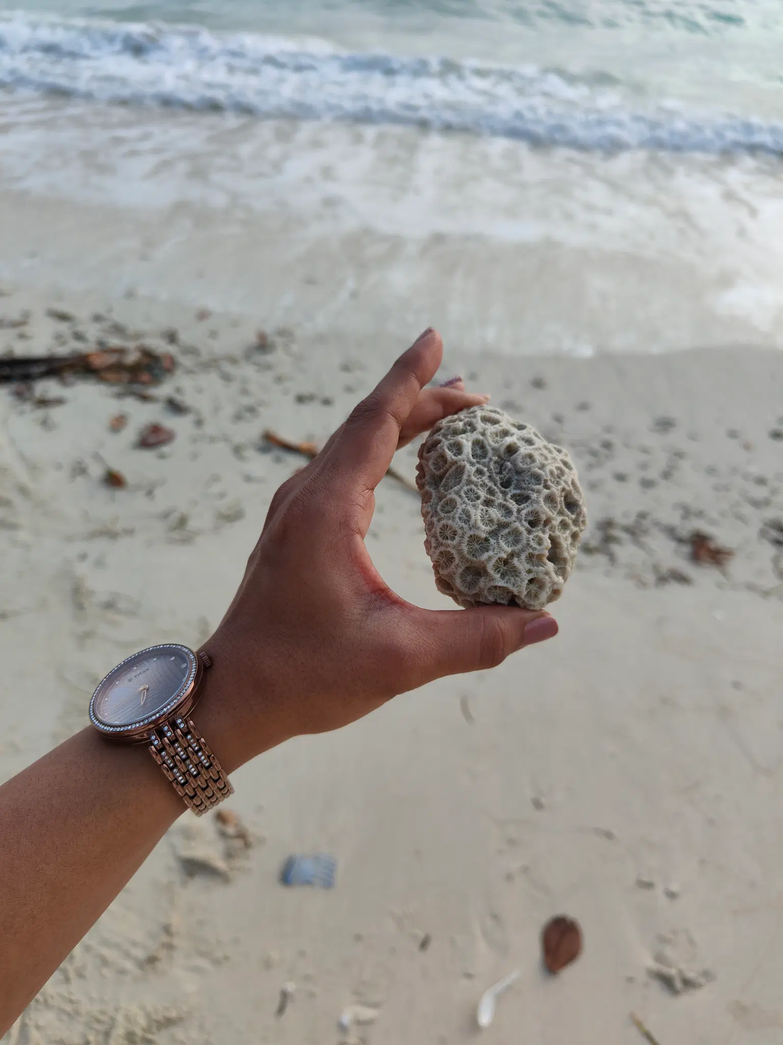 Photo from Shubham Tidke's trip