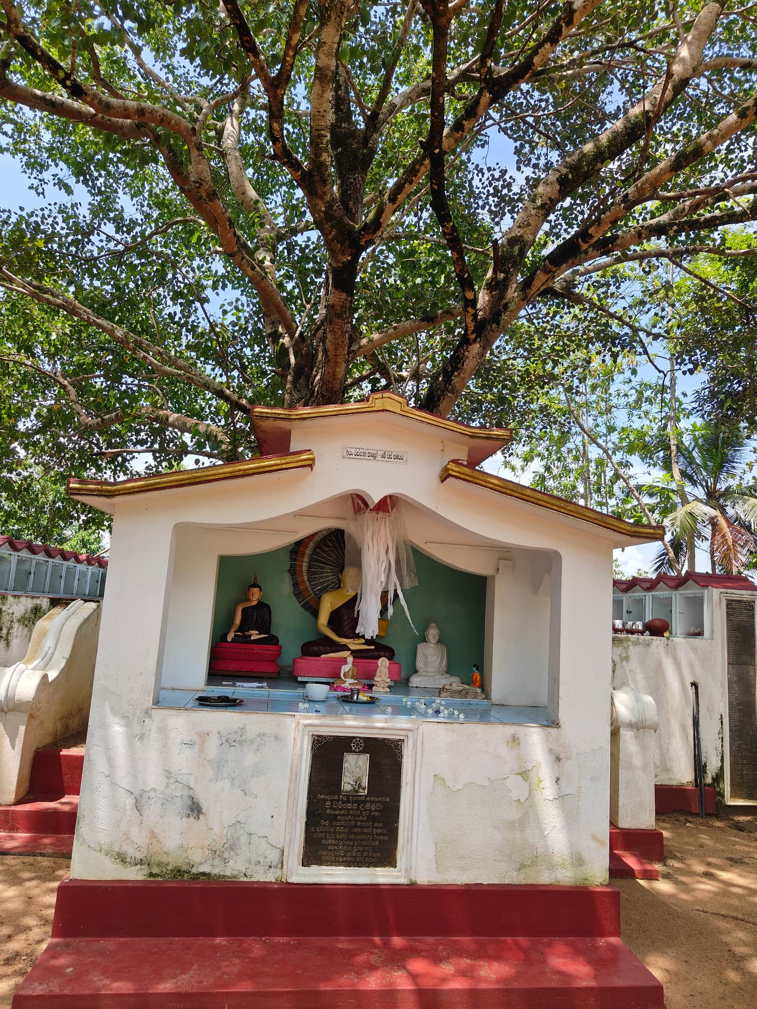 Photo from Anamika Rawat's trip