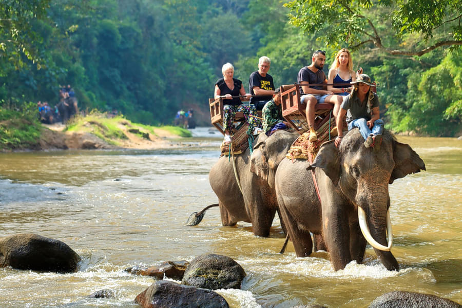 Exciting Elephant Safari Ride in Bali Image