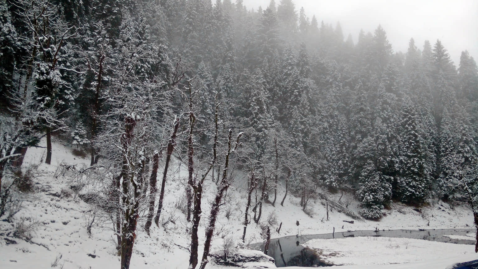 Photo from Mukul Ahluwalia's trip