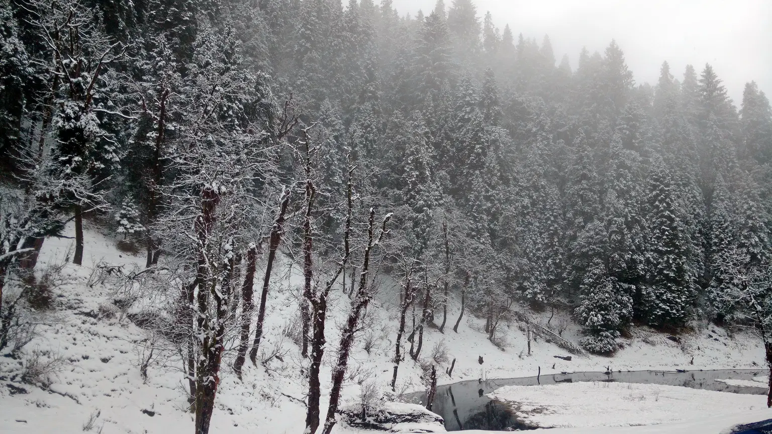 Photo from Mukul Ahluwalia's trip