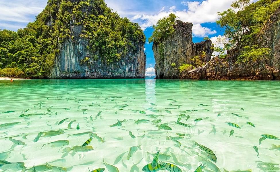 Admire the mesmerizing view of fishes swimming around you in the crystal clear waters of Koh Panyee Island