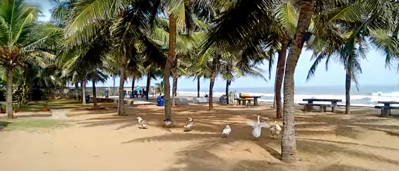 Photo from Vishnu Marar's trip