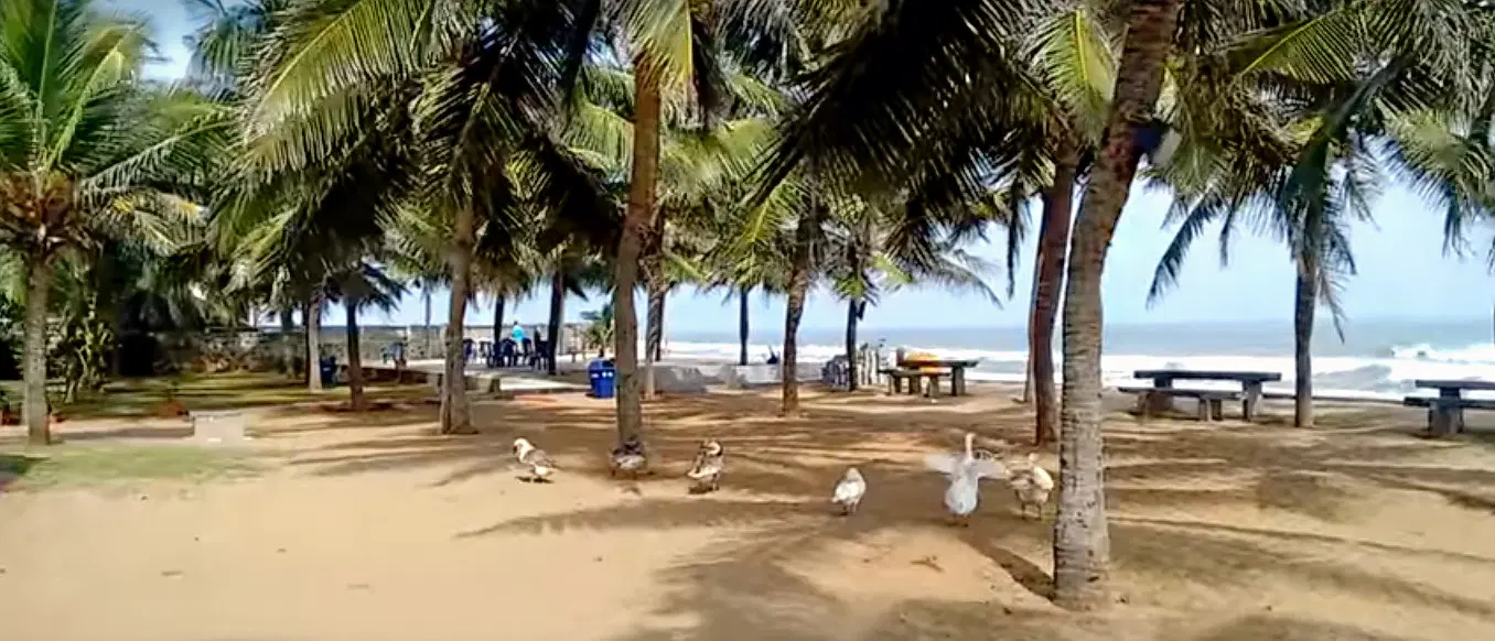 Photo from Vishnu Marar's trip