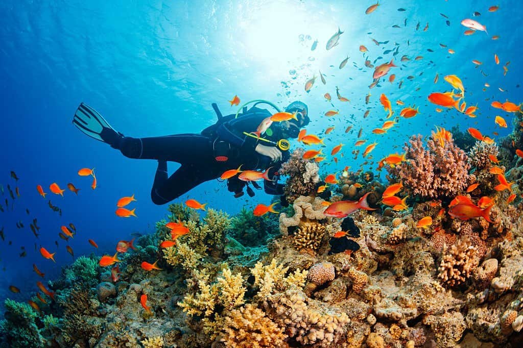 Snorkel at the Coral Reefs