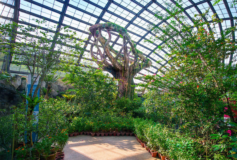 Entopia Penang, <em>Penang</em>