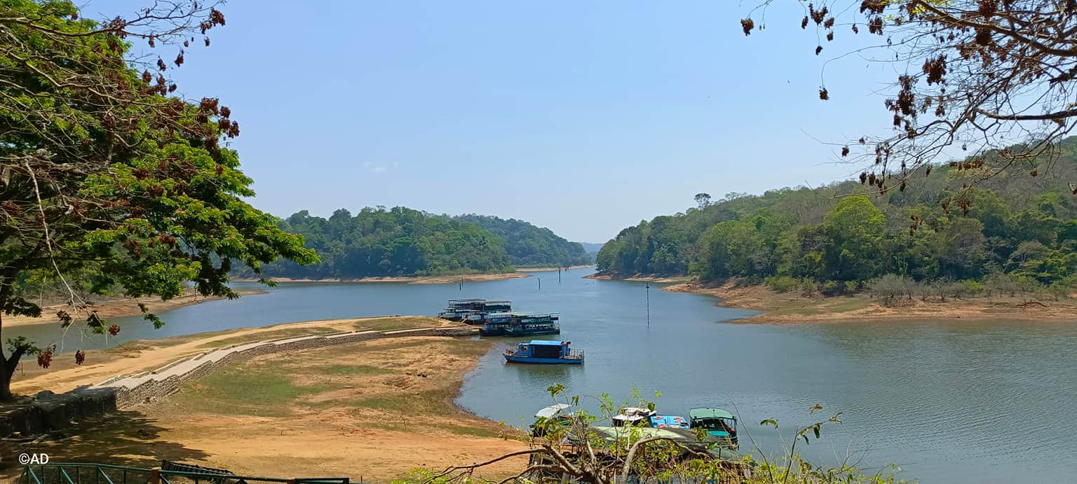 Photo from Ashish Desai's trip