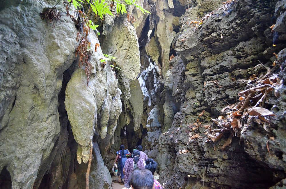 Limestone Caves, <em>Port Blair</em>