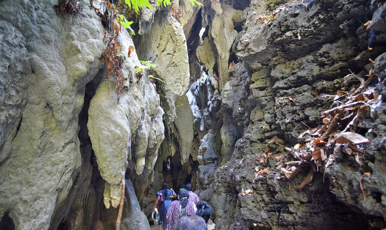 Limestone Caves