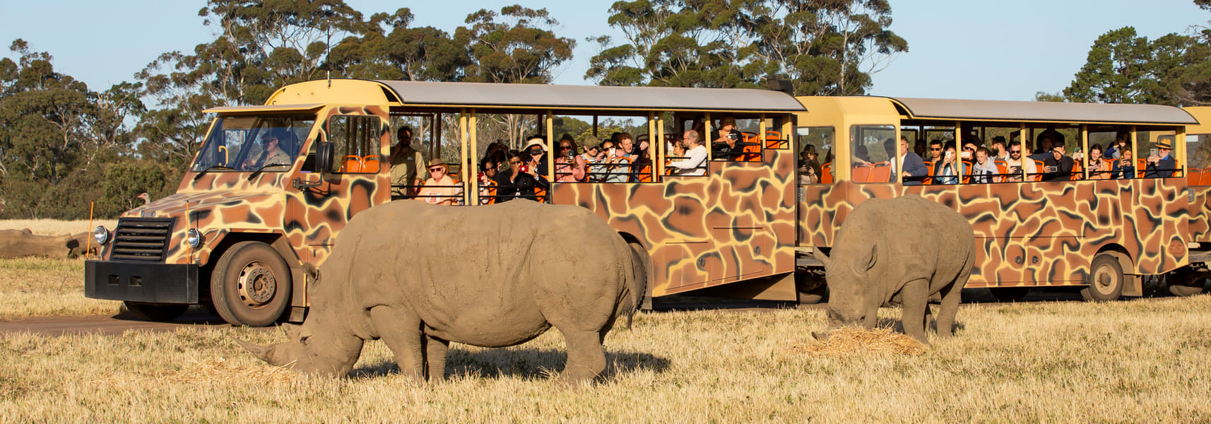 Werribee Open Range Zoo Image