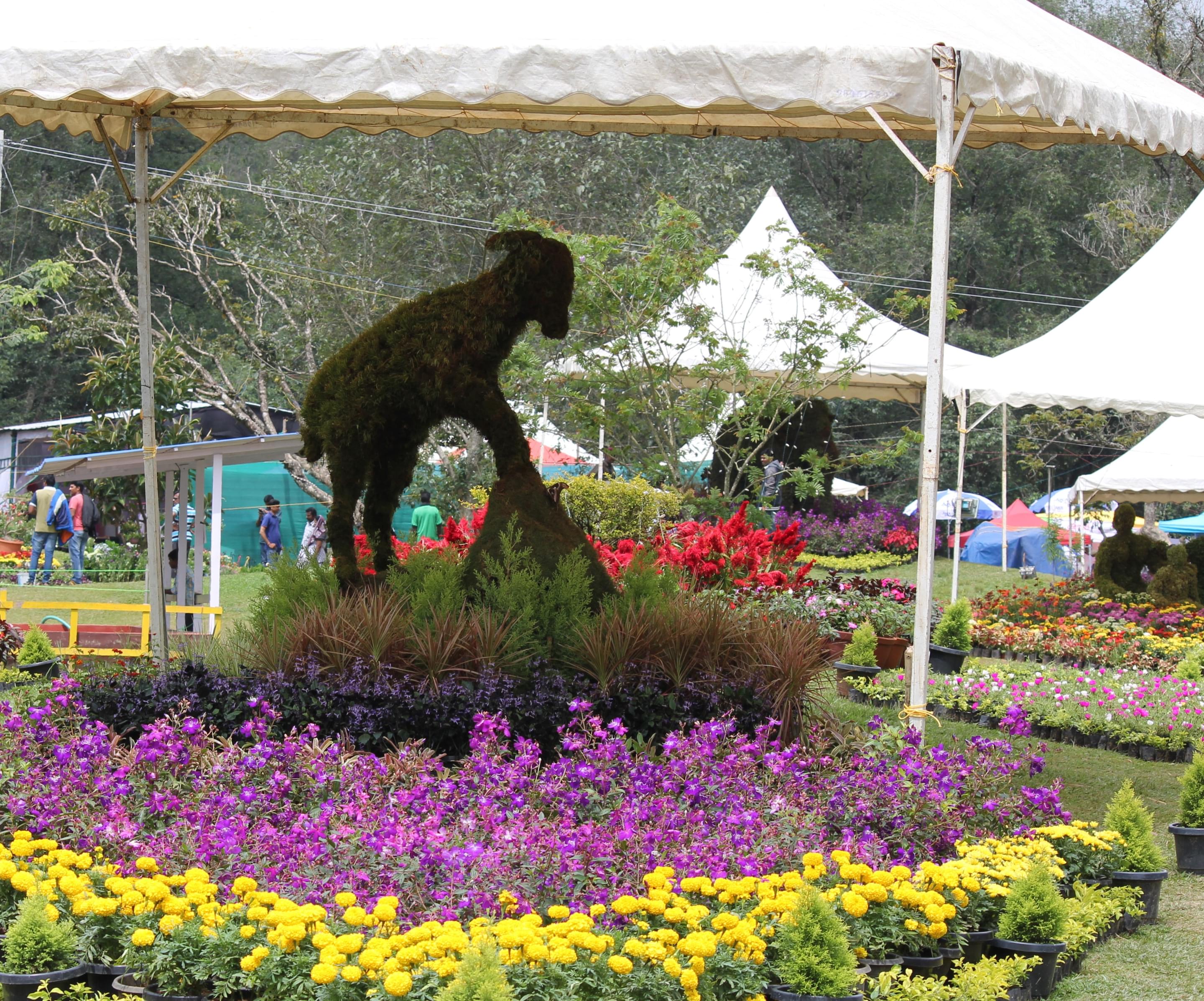 Munnar Flower Show Garden Overview