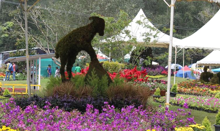 Munnar Flower Show Garden