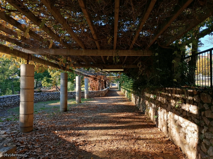 Passeig de Gràcia