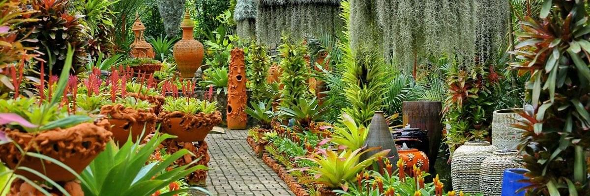 Bromeliad Display Garden