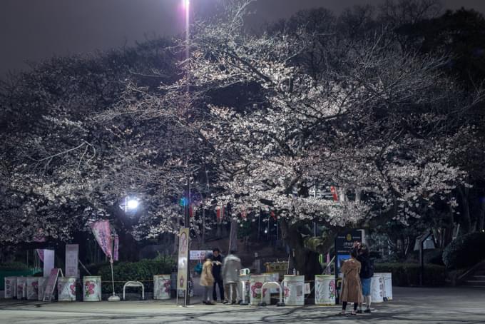 Ueno Park