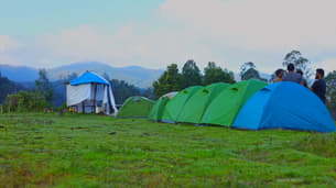 5y1e0rum8r64e0209dhkgn2otxg6 1575527658 5