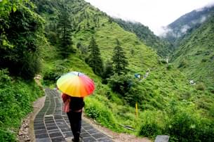 Book the McLeodganj Nature Walking Tour & take the nature trails