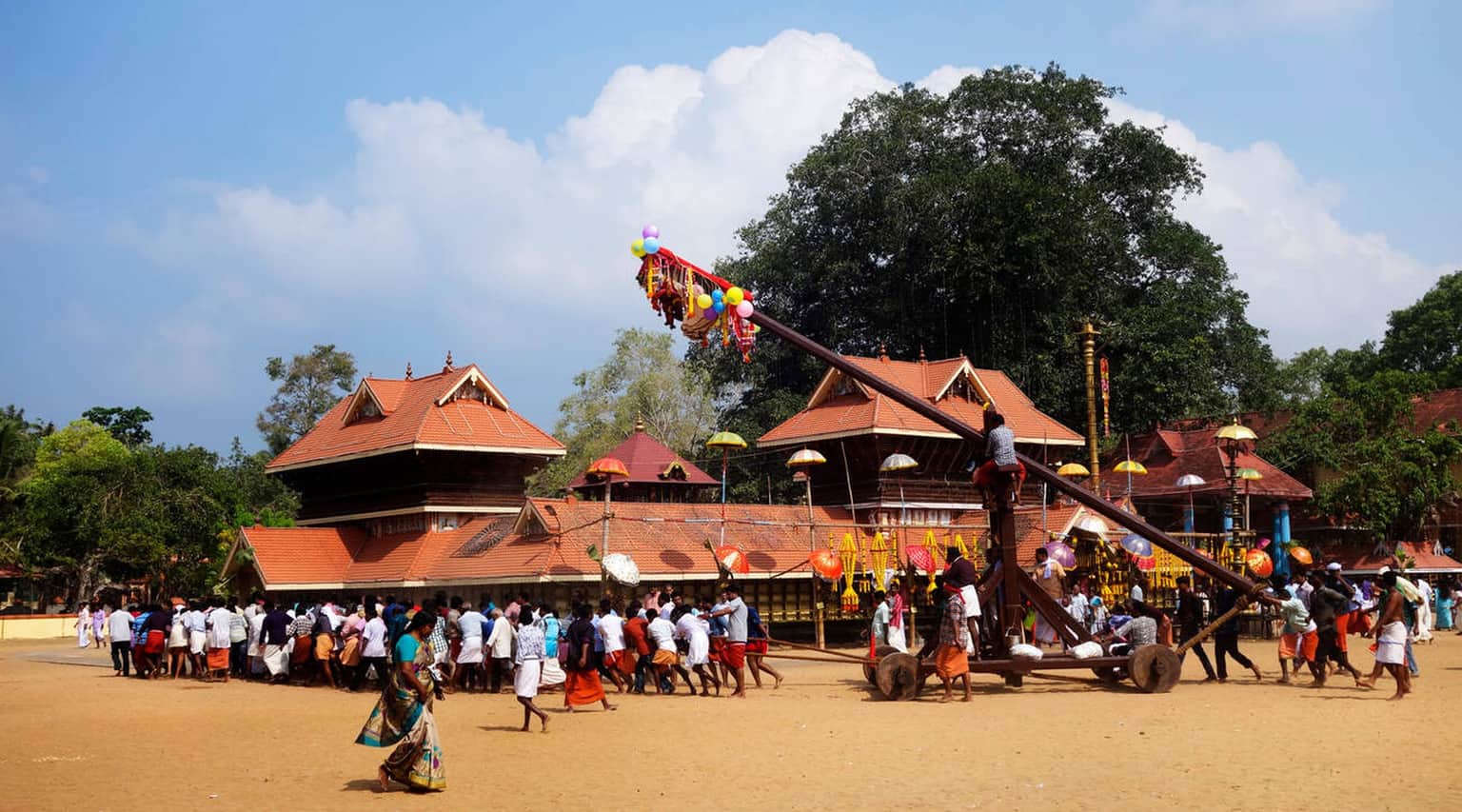 Attend the Meena Bharani Festival
