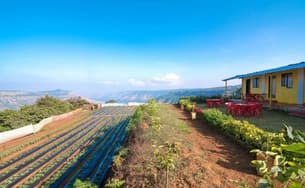 5ymgdv0lbll407v5gwx23duas3sz 1562745553 5cfefb0151c6be2cf541b6b1 1560214273798.jpg