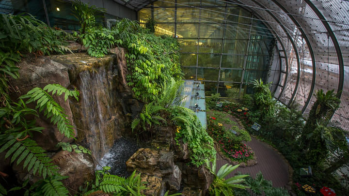 Changi Airport Gardens