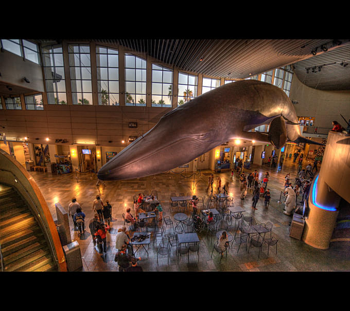 Aquarium Of The Pacific